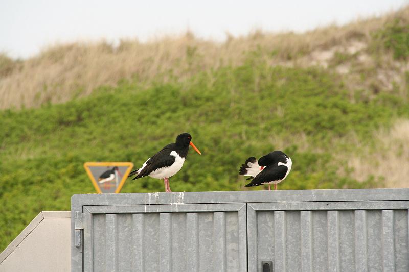 52DP-2009-016 Bild060.JPG